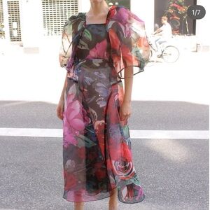 Mr. Larkin Lexi Organza Sheer Floral Maxi Dress NWT M